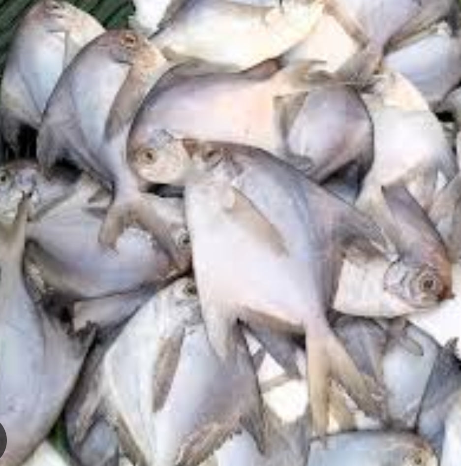 Pomfret