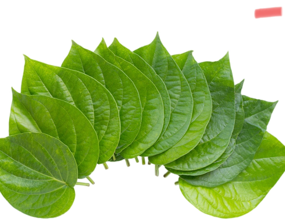 Betel leaf ( Pan pata)