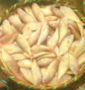 Chamcham