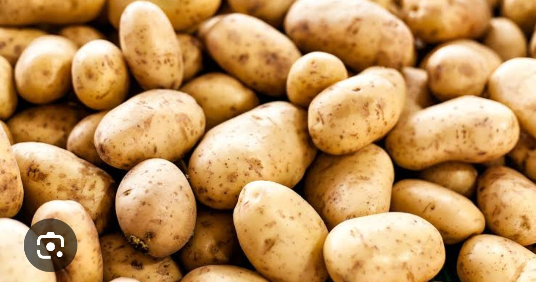 Potato