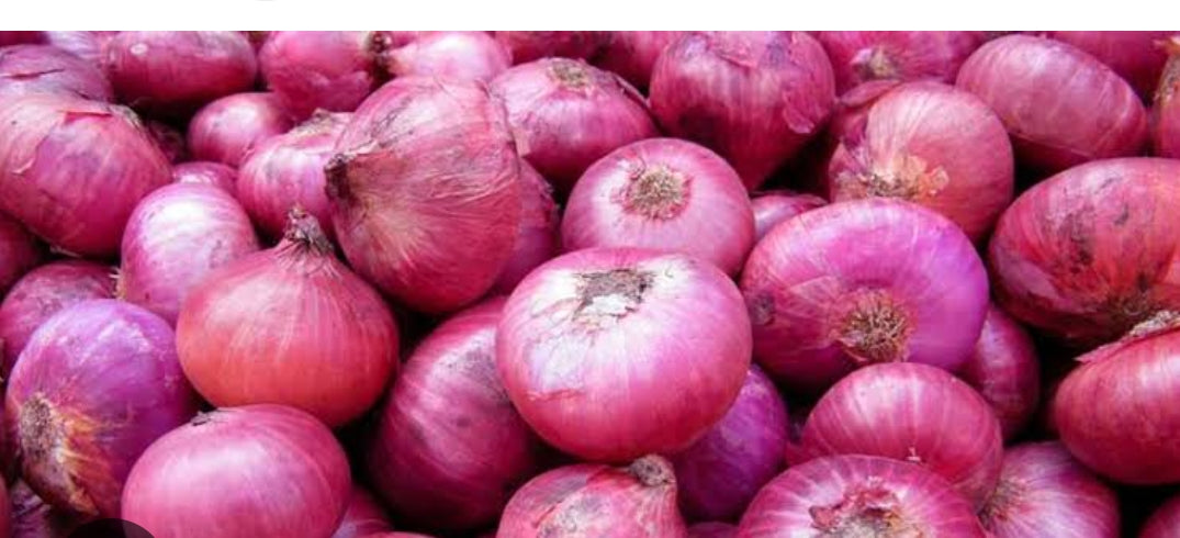 Onion