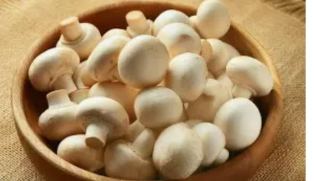 Mushroom