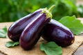 Brinjal