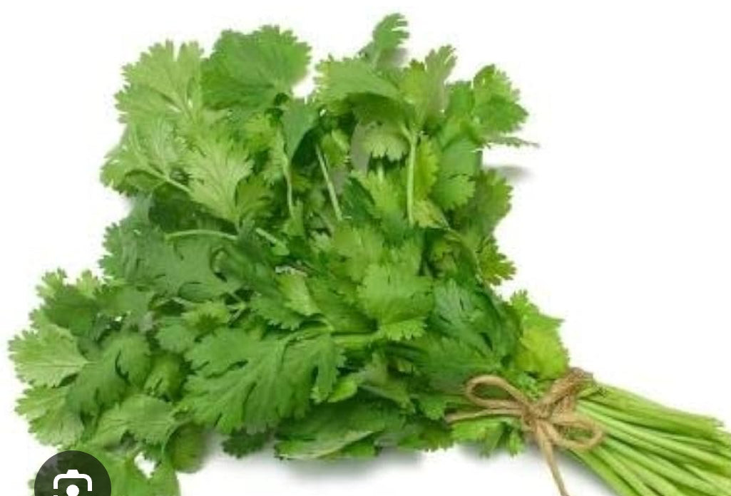 Coriander leaves