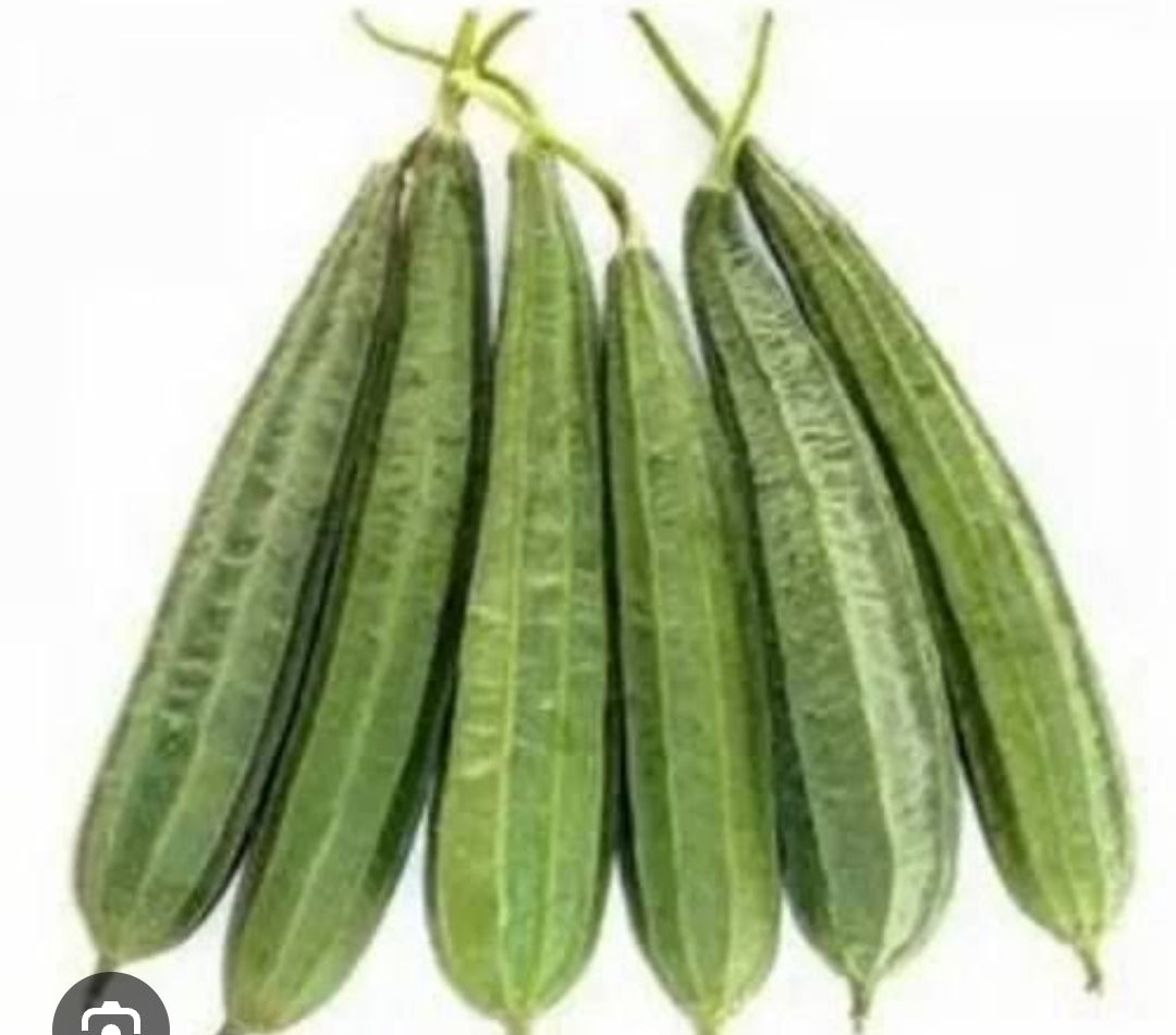 Ridged Gourd