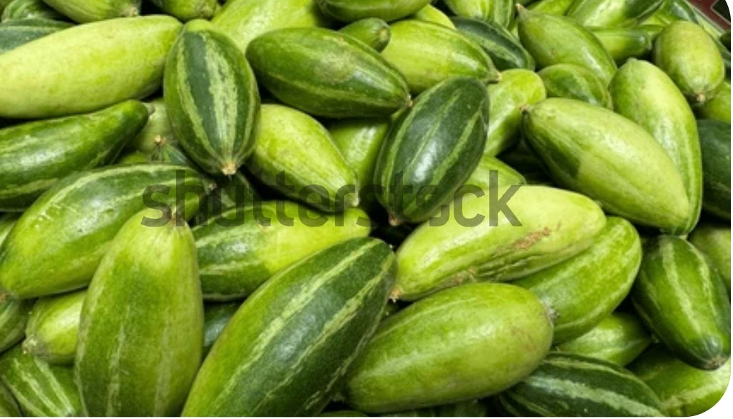 Pointed Gourd