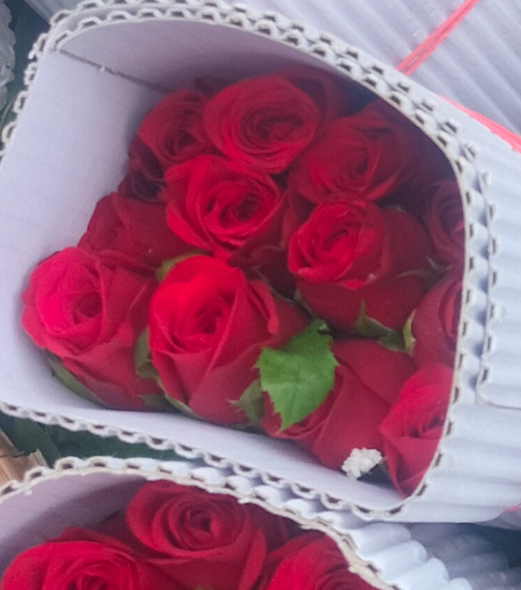Fresh Red Roses 20p/ items