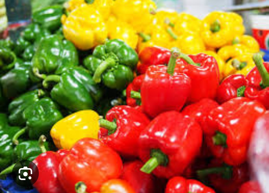 Capcicum