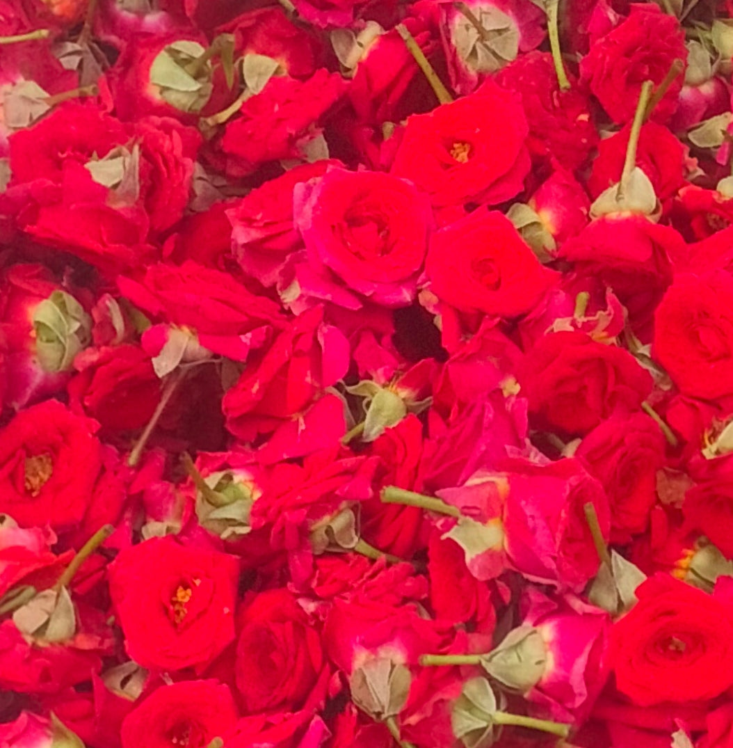 Local Rose100P/items